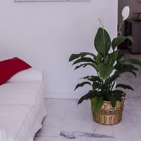 Bed and breakfast Domus Raffaello