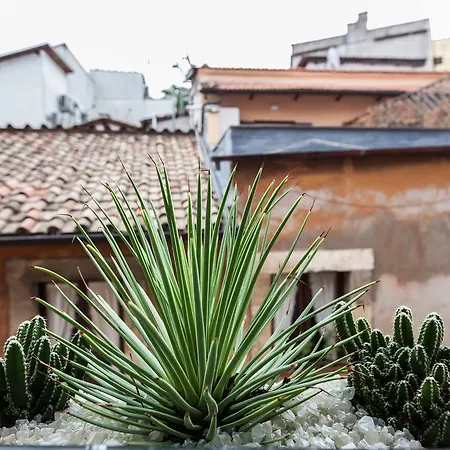 Colosseo Luxury Apartment Rome