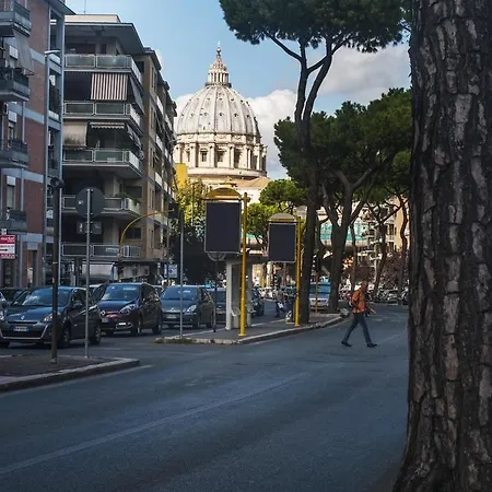 San Pietro Sweet Flat *