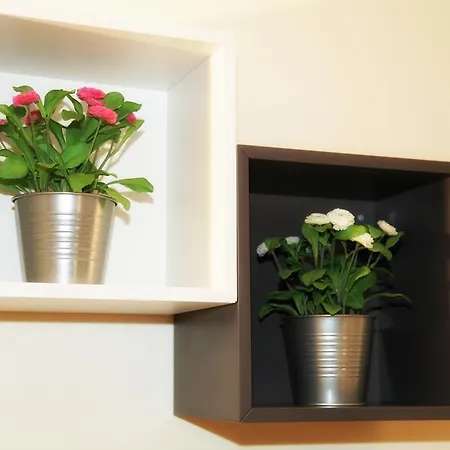 Insula Prati Holiday home Rome