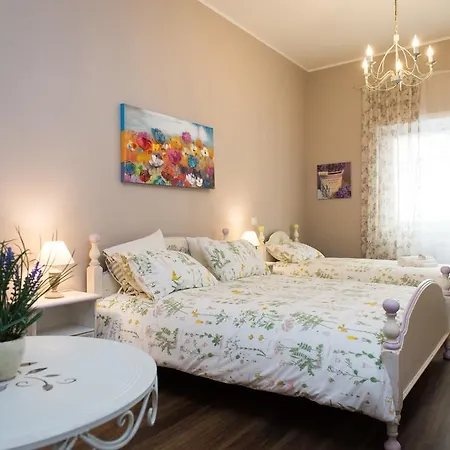 Guest house Magnolia St.peter's Rome