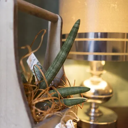 Trastevere Corner Eight 3*