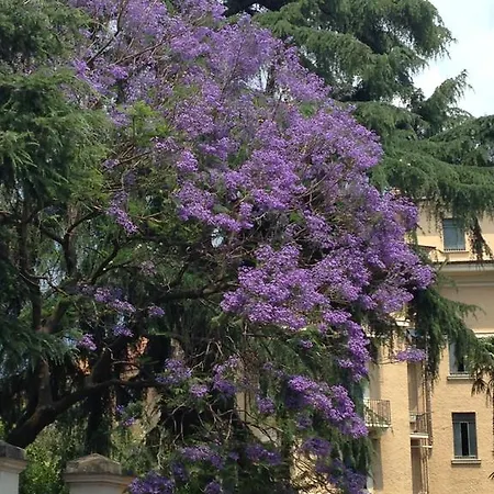 In Isole Affittacamere Roma