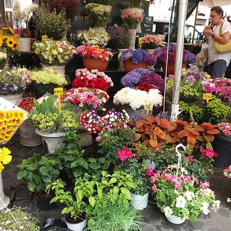 Campofiori Appartamento