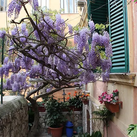 Pavia Rome