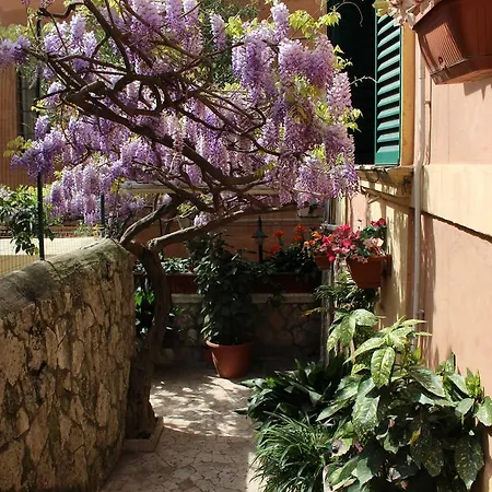 Pavia 3*