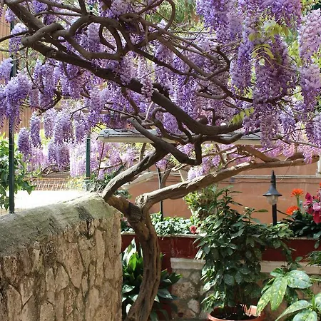 Pavia 3* Rome