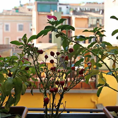 Bed & Breakfast Irooms Pantheon Rome