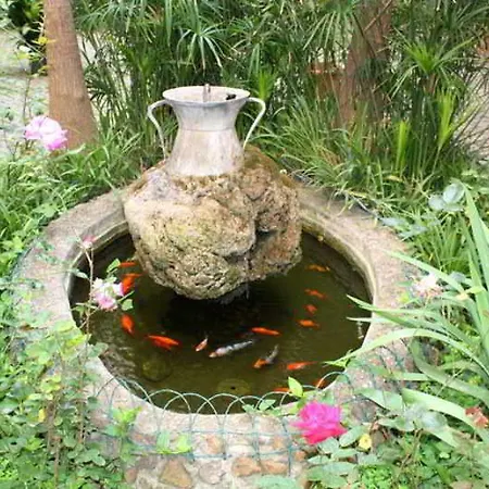 Sergio House רומא