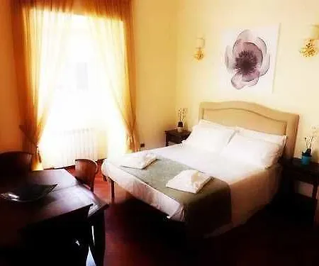 بيت شباب Nika