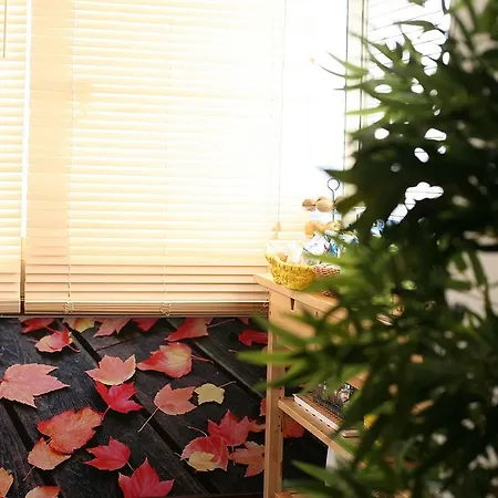 Bamboo B&B Bed & Breakfast Rome