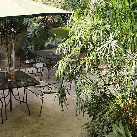 Hotel Delle Rose Rome