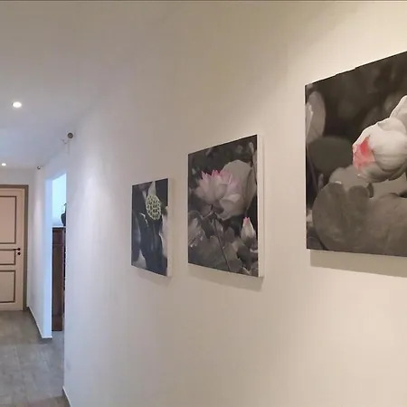 Cuore Di Testaccio Rome