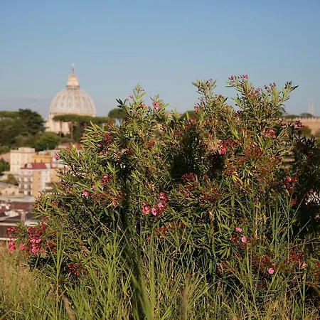 All'ombra Di San Pietro * Rome