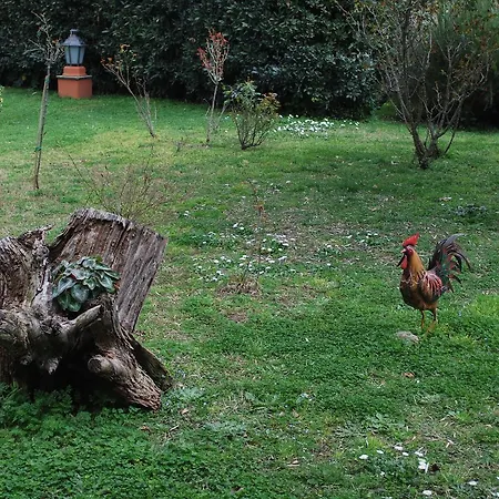 Casale Mostacciano 3*