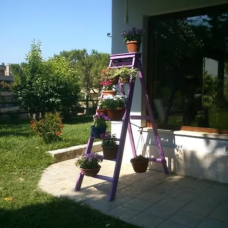 Relais La Canfora Guest house