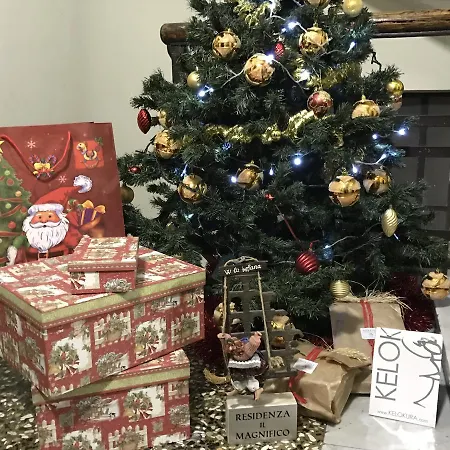 Affittacamere Residenza Il Magnifico 3*