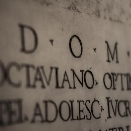 Dom - Preferred &