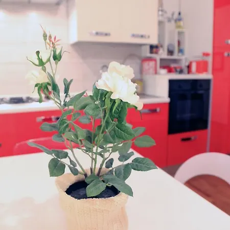 Florje House Apartment