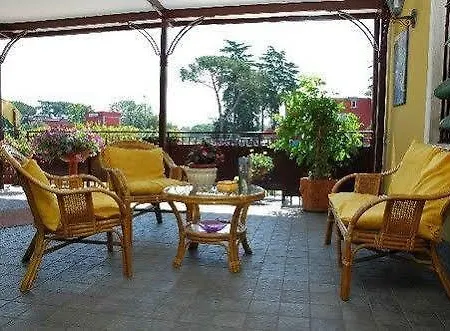 Hotel Shasa 3*
