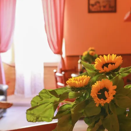 Hostel Holidays