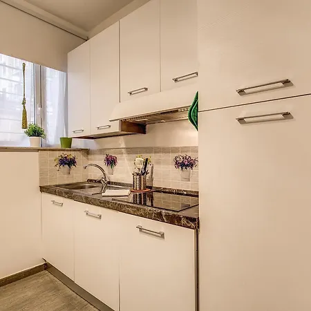 Apartment Flaminio Rome