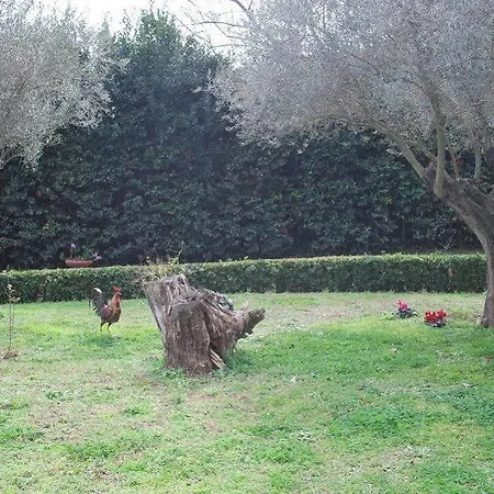Aparthotel Casale Mostacciano 3*