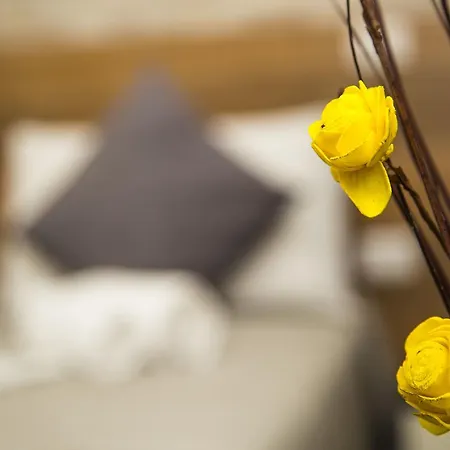 Guest house Santamaria