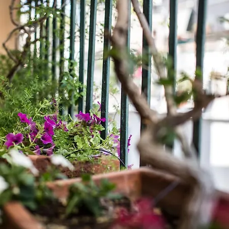 Hotel Grifo Roma
