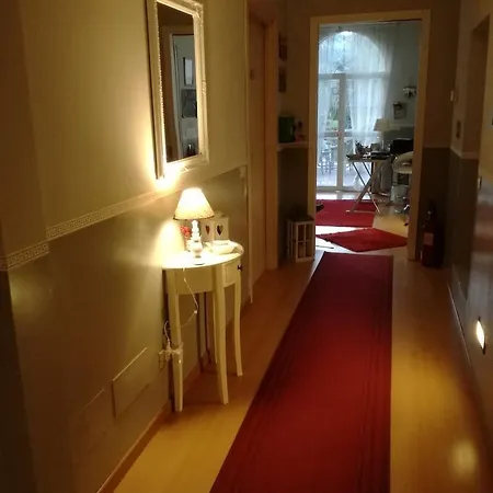 アフィッタカメレ ドルシラ *