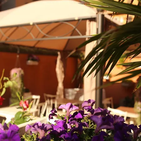 Eco Guest house Rome