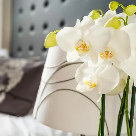 Guest house Romantica 2*