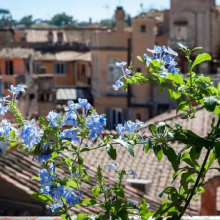 Casa Vacanza Girasole Apartment *