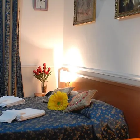 Gerbera Rome