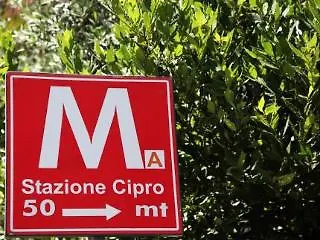 Vaticano84 روما