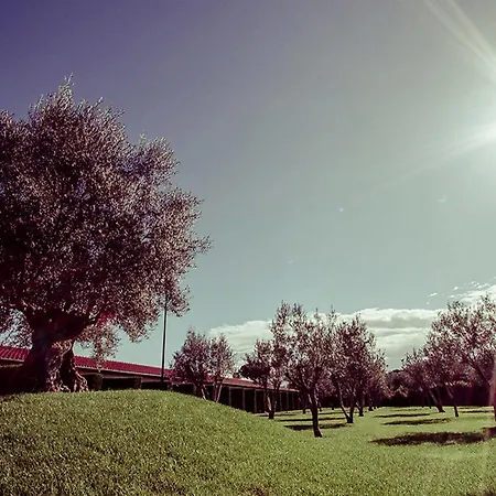Ways Garden & Leisure 4*