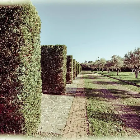 Ways Garden & Leisure
