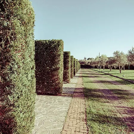 Hotel Ways Garden & Leisure Roma