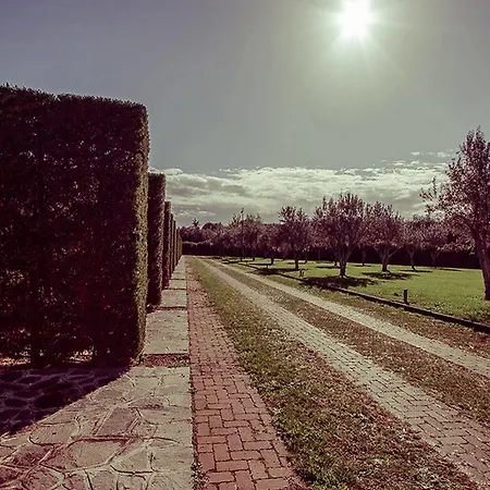 Ways Garden & Leisure 4* Roma