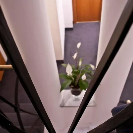 Hotel Concordia 3*