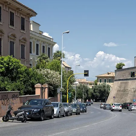 Vaticano84