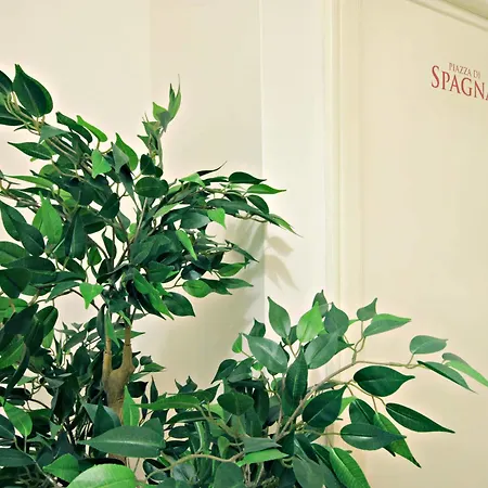 Bed and Breakfast Le Piazze Di