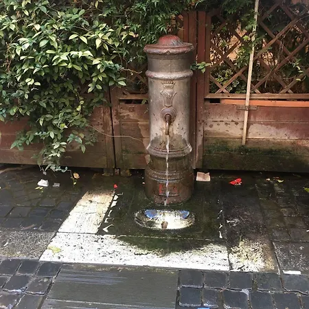 拉卡萨迪艾米旅馆 招待所 3*