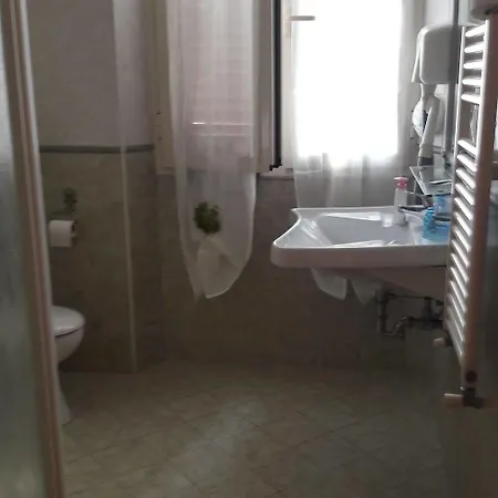 Aristotele 2*