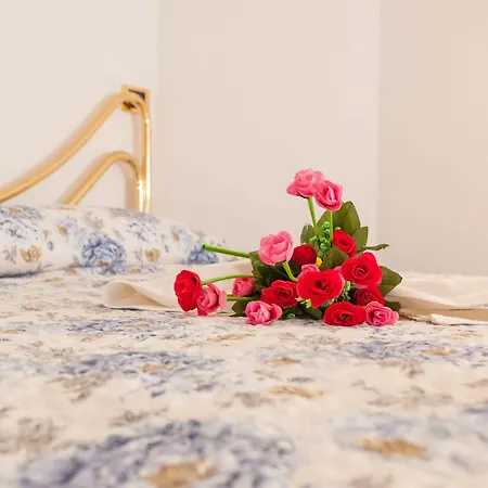Cinta Di Alloro Bed & Breakfast Rome
