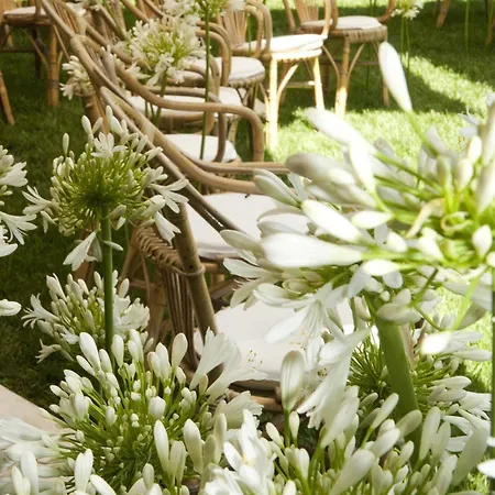 Magnolia Relais Bed & Breakfast 4*