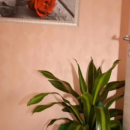 Innitaly O Guest house Rome