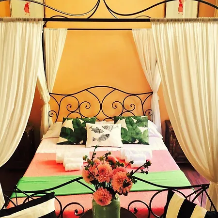 Guest house Holidays 2*