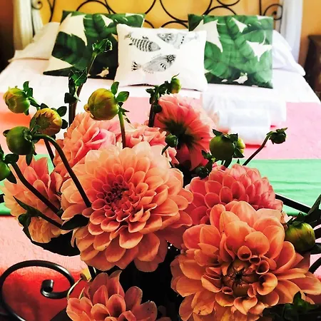 Holidays Guest house Rome
