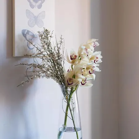 Bed & Breakfast Residenza Scipioni Luxury Roma